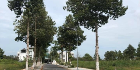 Cơ hội sở hữu đất nền thổ cư ngay tại trung tâm TP Cần Thơ gần công viên