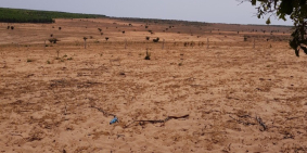 Bán 7000m2 đất Bắc Bình. Bình Thuận chỉ 350tr, sổ riêng Lh 0938677909