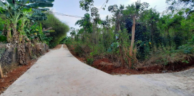 Bán đất tx bình long bình phước