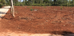 Chỉ...Chỉ 260 TRIỆU !!!! Có ngayyy Lô đất THỔ CƯ đẹp mê ly BÌA ĐỎ tra