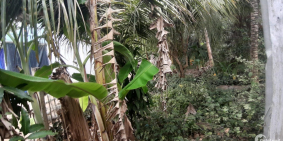 CẦN BÁN LÔ ĐÂT 7X32M, ĐƯỜNG Ô TÔ TỚI, PHÙ HỢP NGHỈ DƯỠNG, BÁN QUÁN