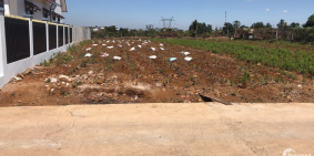 Chính chủ cần bán lô đất nông nghiệp, dt 536m2 tại Bảo Lộc, Lâm Đồng.