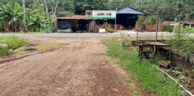 Bán đất chính chủ giá rẻ Dầu Tiếng Bình Dương (298tr/1000m2)