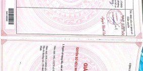 Bán đất Phú Đông 1000m2 giá thấp nhất thị trường hiện tại