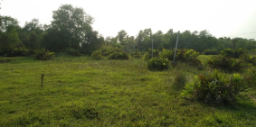 Bán 1400m2, giá 6,5tr/m2 Long Phước, Quận 9