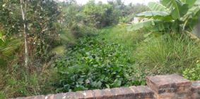 Bán 1000m2, 6,5 tỷ, Đường sô 5, Long Phước, Quận 9