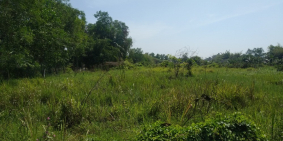 Bán 1400m2, 6,5tr/m2, MT hẻm xe ben, đường Long Phước, Quận 9.