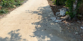 Đất trồng bưởi đang cho thu hoạch , 7.000 m2 , Làng bưởi Tân Triều