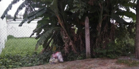 Cho thuê lô đất mặt tiền đường số 15 - KDC Sông Đà, P. Hiệp Bình Chánh, Q. Thủ Đ