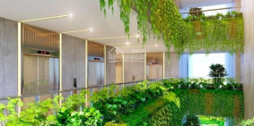 CITI GRAND Q2 - CĂN HỘ CHUẨN "SINGAPORE " CHIẾT KHẤU CAO - 1,9 tỷ