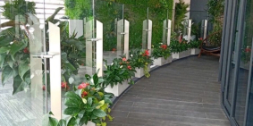 NGHỈ DƯỠNG TẠI NHÀ NGAY CĂN HỘ SUNSHINE DIAMOND RIVER, CK 10%, TẶNG 2 NĂM PHÍ QL