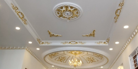 Bán biệt thự đẹp đường Trần Trọng Cung, phường Tân Thuận Đông, quận 07