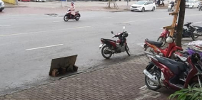 BÁN NHÀ MẶT PHỐ CẦU GIẤY KINH DOANH 5M VỈA HÈ CHỈ 14 TỶ 5 0978439490