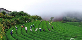 Hoà mình vào thiên nhiên, tận hưởng không khí trong lành mát mẻ Damb'ri Ecovill