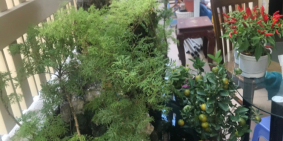 CHÍNH CHỦ BÁN NHÀ PHỐ 2 MẶT TIỀN HẺM, KHU VIP PHAN XÍCH LONG, F2, P.NHUẬN, TP.HC