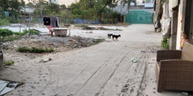 Đáo hạn ngân hàng cần bán gấp dãy nhà trọ tại đường Võ Văn Hát p.Long Trường Q.9