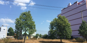 CẦN BÁN LÔ ĐẤT 300M2 THỔ CƯ + DÃY TRỌ ĐÔI NGAY KHU CN NHẬT BẢN. LH 0343.206.106