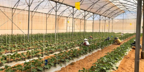 Bán nhanh lô đất xã Sông Luỹ gần quốc lộ 1A chỉ 452tr, sổ riêng Lh 0938677909