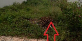 tôi chính chủ cần bán lô đất tạ bến lức 100m2 chỉ 800tr đã có sổ hồng riêng