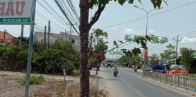 tôi bán gấp lô đất ngay trung tâm cần giuộc.mặt dg ql50.sổ riêng,80m2.790tr