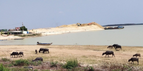 Chủ vỡ Nợ Bán Gấp 1050m2 Đất Dầu Tiếng- Bình Dương Giá Rẻ 390tr/ shr