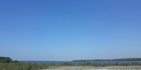 Chủ vỡ Nợ Bán Gấp 1190m2 Đất Dầu Tiếng- Bình Dương Giá Rẻ 240tr/ shr