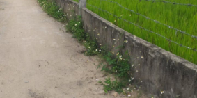 Bán đất 2MK  thôn Phú Sơn Nam, Hòa Khương, Hòa Vang ,giá 480tr, lh 0768456886