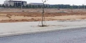 Bán đất mt đường lý thái tổ,nhơn trạch.ngay chợ đại phước.giá 800tr/100m2.shr