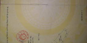 Chính chủ bán lô góc Nhạc Lộc, Trưng Trắc, Văn Lâm mặt tiền 10.6m ngõ oto tránh