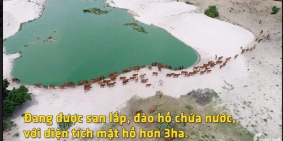 Đất nông nghiệp Bình Thuận SHR bao sang tên chỉ 288tr/4100m2 có sổ sẵn