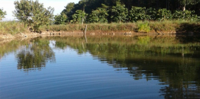 Bán đất nghỉ dưỡng và trồng rau sạch ở lâm đồng.