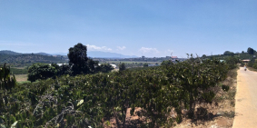 Bán đất trồng rau sạch và khu nghỉ dưỡng ở TaiHin lâm đồng.