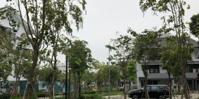 Chính chủ cần bán gấp căn liền kề ST5 gamuda giá 9,1 tỷ, trả chậm 12 tháng.t