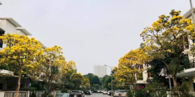 Chính chủ cần bán gấp căn góc giữa ngay trục cổng chính ST5 Dahlia Homes