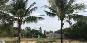 SAU DỊCH COVY-19, GIÁ ĐẤT Ở CỦ CHI RỚT GIÁ THÊ THẢM, cơ hội làm giàu ??