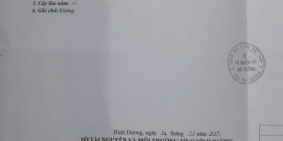 Nhà mặt tiền An Thạnh giá rẻ bán gấp