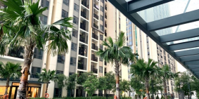 Cho thuê CHCC Hà Đô Centrosa . Quận 10