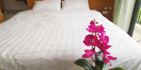 Cho thuê CH theo ngày giá cực rẻ chỉ 300 K/ đêm CH 35 m2 - 45 m2,full nội thất n