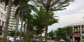 Đất nền sổ đỏ quận 2, gần trường học, bệnh viện, siêu thị, giá 41,5 tr/m2