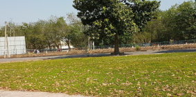 Đất nằm ngay mặt tiền đường QL1A và Xã đồi 61, kề KCN Bàu Xéo Trảng Bom, ĐN