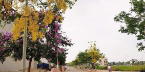 BÁN ĐẤT ĐẸP 300m2 ở KĐT NAM VĨNH YÊN đường rộng 21m