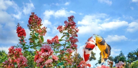 Cơ hội sinh lời cực lớn - Đô Thị Stella Mega city