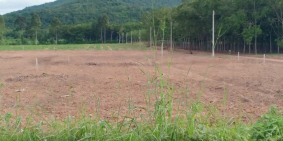 Kẹt tiền bán lô đất mặt tiền đường nhựa (20x60) – Dầu Tiếng BD