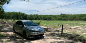 Đừng mua đất Dầu Tiếng Bình Dương... mà không biết những lý do này...