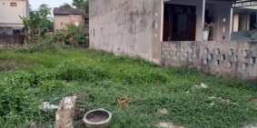 BÁN ĐẤT SỔ ĐỎ DƯỠNG MONG GIÁ KHÔNG THỂ NÀO SẬP HƠN 0762644112