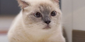 bán 3 nền đất bình tân ,hương lộ 2