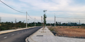 Lô Đồng Phú mê ly giá cả yêu thương nhất Tịnh Hà