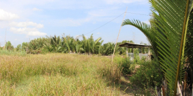 Bán đất gần mặt tiền 826C (Lê Văn Lương nối dài)Phước Lại, Cần Giuộc-0933644449