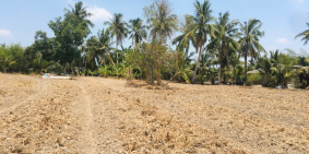 Bán đất nhà vườn Nhơn Trạch, mặt tiền sông lớn 100m, giá tốt 1,7 tỷ trọn sổ