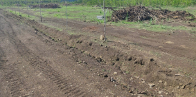 TÔI CẦN BÁN GẤP 5 SÀO ĐẤT NÔNG NGHIỆP XÃ HƯNG THỊNH, TRẢNG BOM. GIÁ: 480TR/ SÀO.